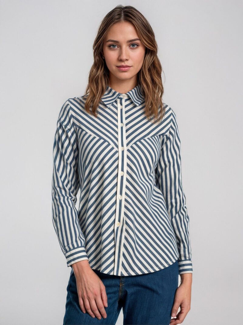 Shirt blouse
